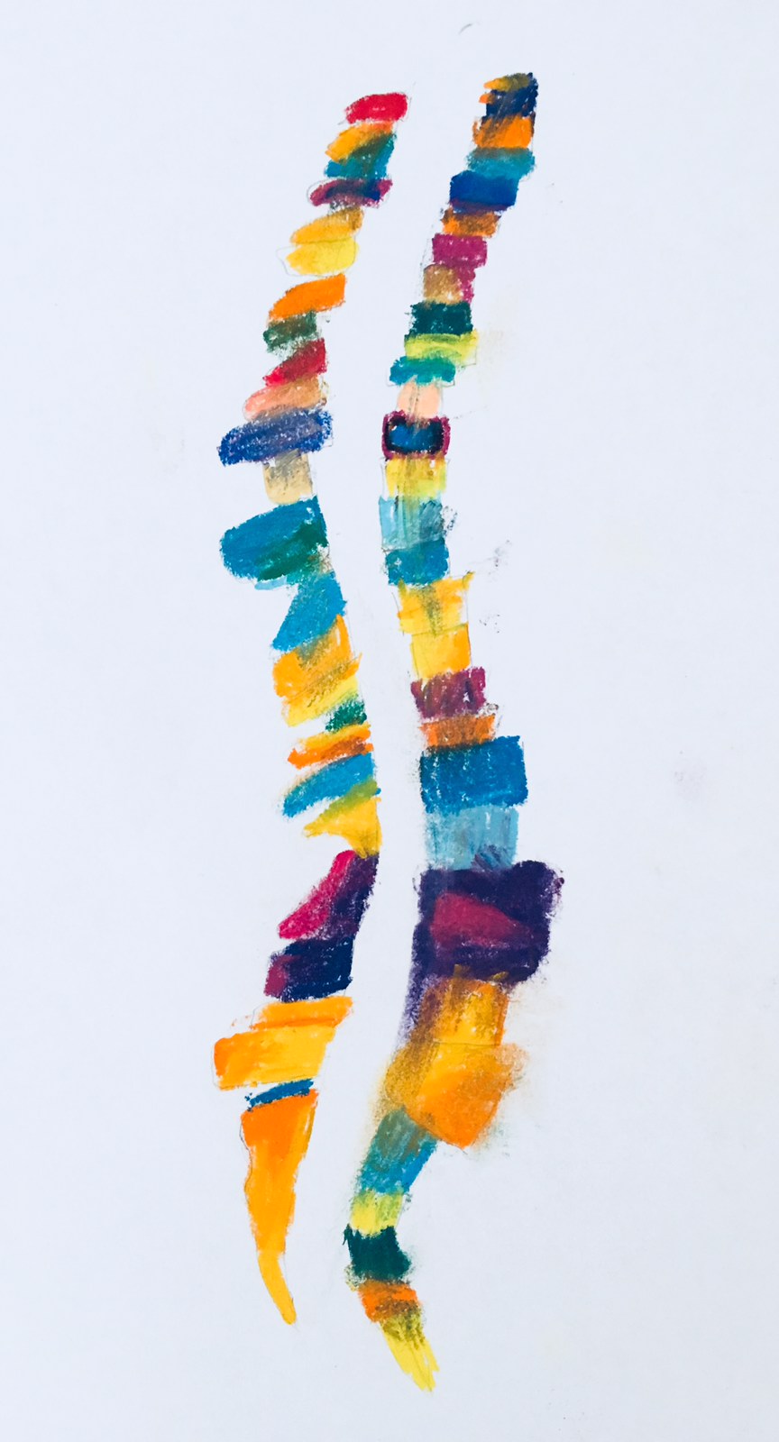 Spine